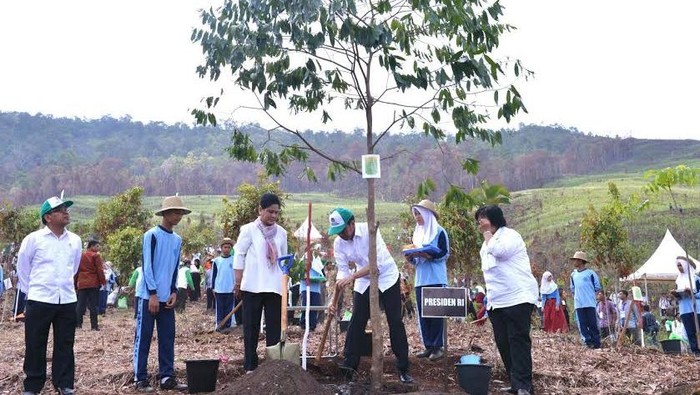 Resmikan Taman Hutan Terluas, Jokowi: Paru-paru Dunia Kembali Berjaya