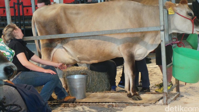 Royal Melbourne Show, Cara Victoria Hargai Kerja Keras Petani-Peternak