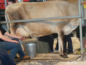 Royal Melbourne Show, Cara Victoria Hargai Kerja Keras Petani-Peternak