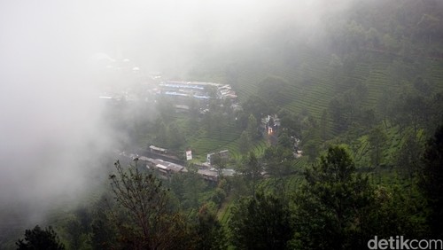 Kabut menyelimuti kawasan puncak, bogor.  dikhy sasra/ilustrasi/detikfoto