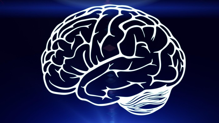 neurons