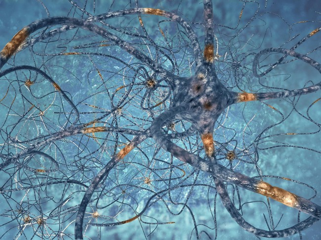 Mengulik Nerve Agent, Racun yang Nyaris Membunuh Eks Mata-mata Russia