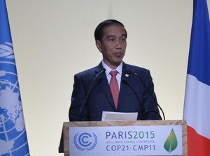 Jokowi Sudah Tahu Isi Rekaman Lengkap Novanto Soal Freeport