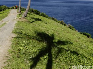 Kakek di Situbondo Ditemukan Tewas di Atas Pohon Kelapa