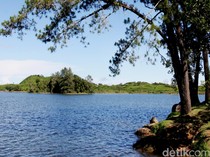 Ketiban Untung dari Stasiun Whoosh, Proyek Rumah di Bandung Barat Ngegas