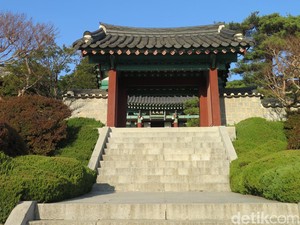 Mendaki Bukit ke Lokasi Syuting Saimdang - The Herstory di Provinsi Gangwon