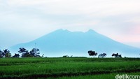 Bahaya! Hutan Penyangga Gunung Salak Kian Terancam