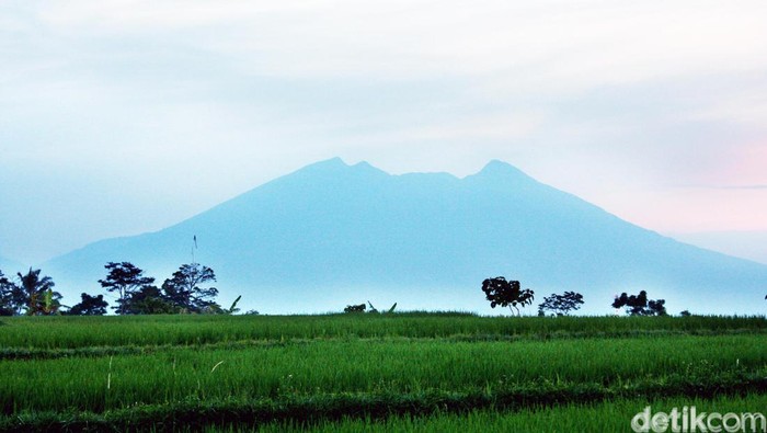 Gunung Salak, Bogor. 
dikhy sasra/ilustrasi/detikfoto