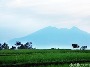 Hutan Penyangga Gunung Salak Kian Terancam