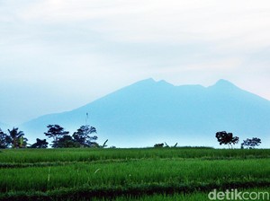 Bahaya! Hutan Penyangga Gunung Salak Kian Terancam