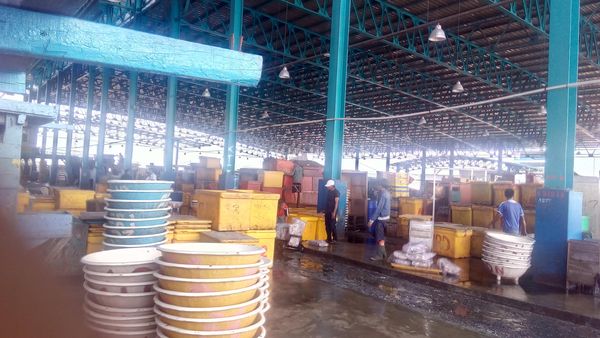 Pedagang Ikan di Muara Angke Tak Terpengaruh Ikan Mati di Pedagang Ikan di Muara Angke Tak Terpengaruh Ikan Mati di