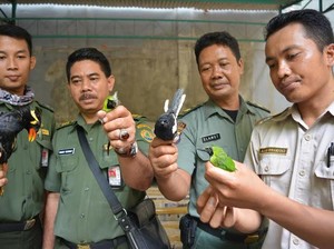 BBKSDA Jatim Gagalkan Penyelundupan 2.711 Ekor Burung