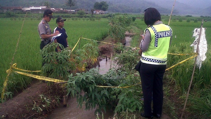 Tega! Ende Bunuh dan Buang Mayat Pacarnya yang Hamil di Selokan