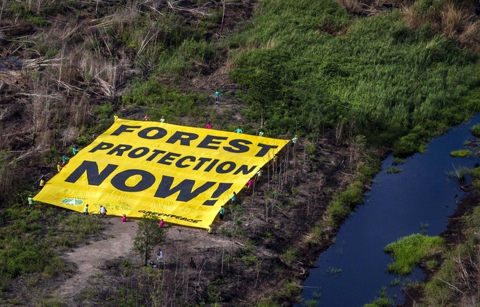 2,61 Juta Ha Lahan Indonesia Terbakar di 2015, 24 Jiwa Melayang