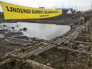 Kalah di PN Palembang dalam Gugatan Kebakaran Hutan, KLH: Hakim Abaikan Fakta