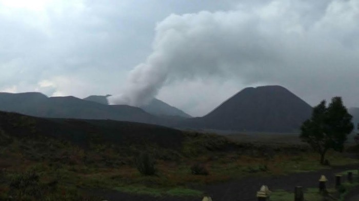 Bromo Siaga, Jauhi Kawah, Lautan Pasir, dan Savana