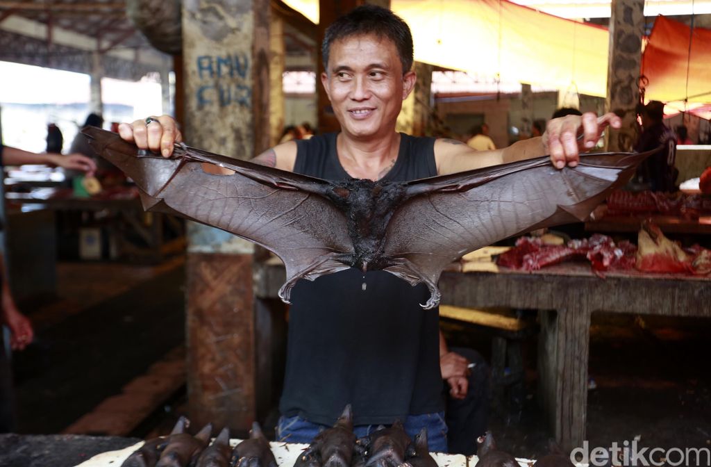 Ada yang unik sekaligus menyedihkan di Pasar Tomohon di Minahasa, Sulawesi Tenggara. Pasar ini menyediakan bahan makanan yang bisa dibilang ekstrem. Pasar ini menyediakan bahan olahan makanan dari hewan-hewan yang tidak biasa seperti, Anjing, Kucing, kelelawar, ular pyton, biawak, Tikus hutan, dan beberapa hewan yang tidak lazim dijual di pasaran. Kebanyakan hewan yang dijual di pasar Tomohon sudah dalam keadaan mati dan terpanggang. Reno Hastukrisnapati Widarto/detikcom.