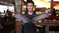 Kelelawar pun juga dijual di sini (Reno/detikcom)