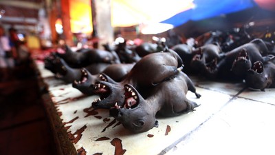 Foto: Anjing Hingga Ular Pun Dimakan di Tomohon