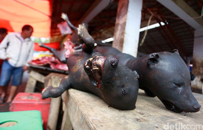 Foto Anjing Hingga Ular Pun Dimakan Di Tomohon