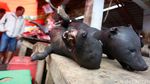 Foto: Anjing Hingga Ular Pun Dimakan di Tomohon