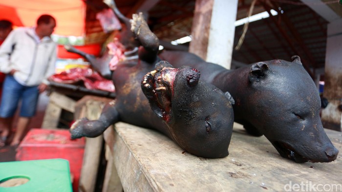 Ada yang unik sekaligus menyedihkan di Pasar Tomohon di Minahasa, Sulawesi Tenggara. Pasar ini menyediakan bahan makanan yang bisa dibilang ekstrem. Pasar ini menyediakan bahan olahan makanan dari hewan-hewan yang tidak biasa seperti, Anjing, Kucing, kelelawar, ular pyton, biawak, Tikus hutan, dan beberapa hewan yang tidak lazim dijual di pasaran. Kebanyakan hewan yang dijual di pasar Tomohon sudah dalam keadaan mati dan terpanggang. Reno Hastukrisnapati Widarto/detikcom.