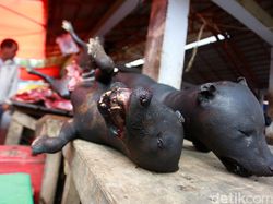 Pasar Tomohon, Pasar di Sulut yang Jual Hewan Liar Seperti di Wuhan