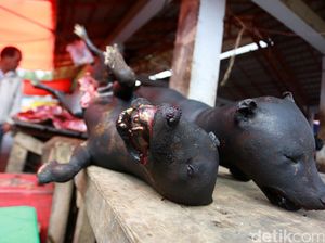 Pasar Ekstrem Tomohon Tak Lagi Jual Daging Anjing & Kucing, Ini Asal Usulnya