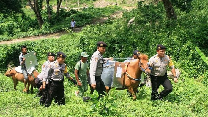 Distribusi Logistik Pilkada di Jember Pakai Kuda