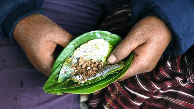 Daun sirih.