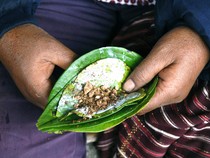 Video Melestarikan Tradisi Menyirih Pinang di Kupang NTT