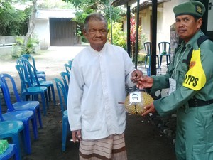 Nyoblos di TPS 17 Sleman Dapat Doorprize Terong, Ketela, Hingga Durian