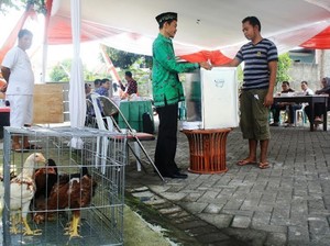 Nyoblos di TPS ini Dapat Ayam dan Kompor Gas