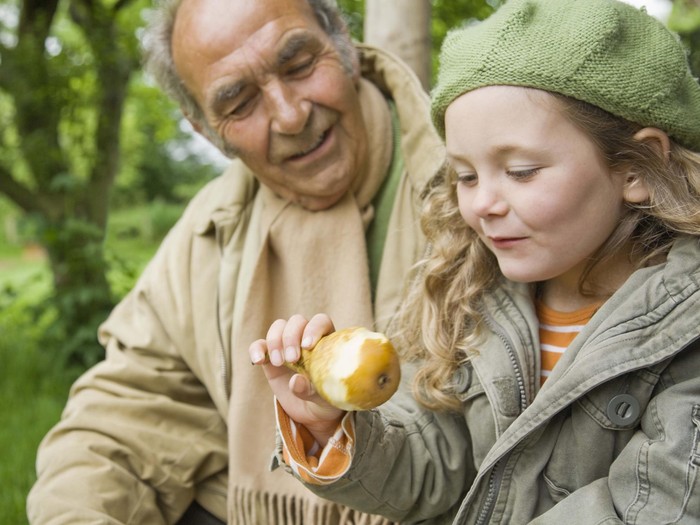 Satu Pir Tiap Hari Bisa Bantu Jaga Berat Badan Tetap Stabil