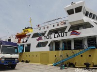 Tol Laut Sudah Angkut 2.000 Sapi Tiap Bulan ke Jakarta