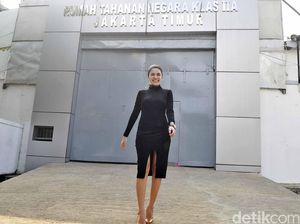 Nikita Mirzani vs Hukum, Ini Rekam Jejaknya