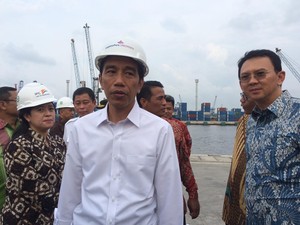 Dapat 350 Ekor Sapi, Ahok: Nanti Bulog Distribusikan untuk Jakarta