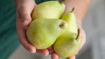 Sebelum Memakannya, Intip Dulu Kandungan Gula 13 Buah Manis Segar Ini!