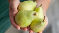 Satu buah pir berukuran sedang setidaknya mengandung 17 gram gula. Anda bisa menikmati pir dengan yogurt agar rasanya lebih enak. Foto: Thinkstock