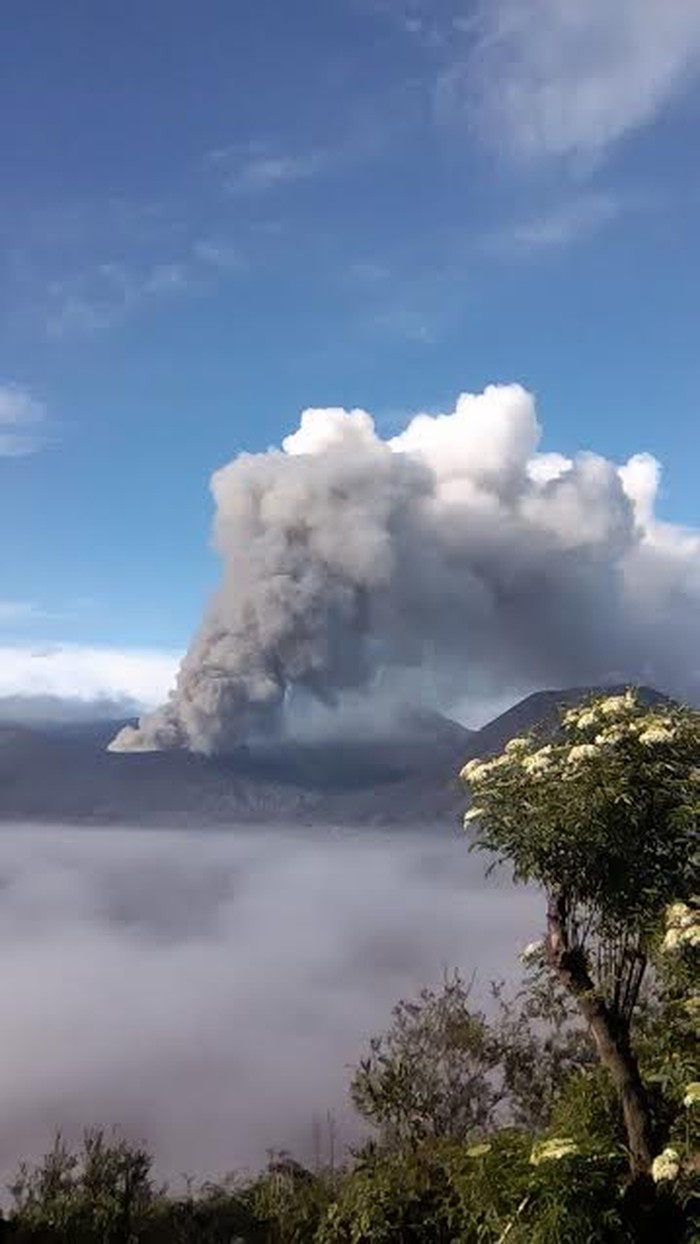 bromo tengger semeru