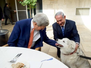 Gigit 2 Pejabat Israel, Anjing Keluarga PM Netanyahu Dikarantina