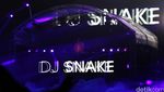 Galantis, DJ Snake, Kaskade hingga Tiesto Getarkan DWP 2015 Hari Kedua