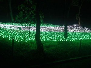 Sambut Tahun Baru 2016, Lereng Merapi Disulap Jadi Hutan Lampion