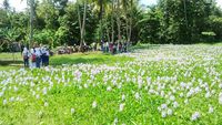 (Sukma/detikTravel)