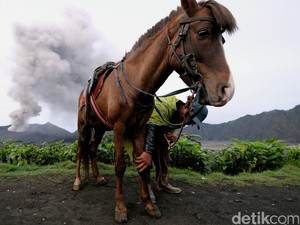 Kasada di Saat Status Gunung Bromo Waspada, Wisatawan Dilarang Dekati Kawah