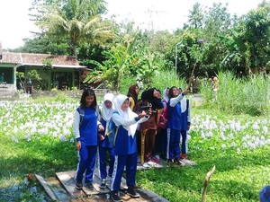 Ssst! Disediakan Tempat Khusus untuk Selfie Bareng Bunga Eceng Gondok di Bantul