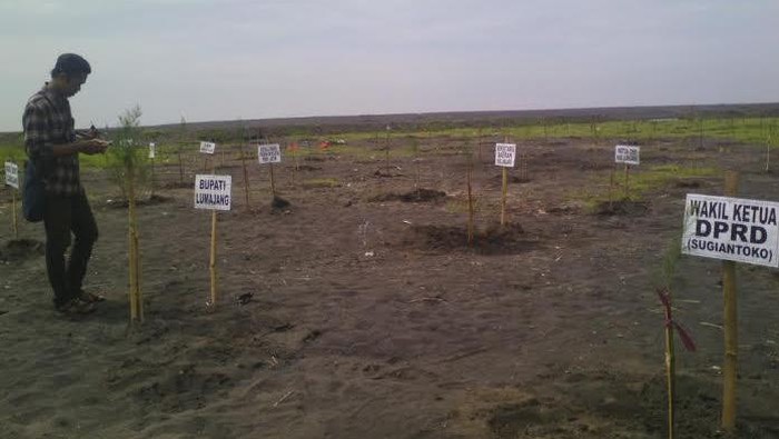 Bekas Tambang Ilegal Di Selok Awar Awar Ditanami 11 Ribu Pohon