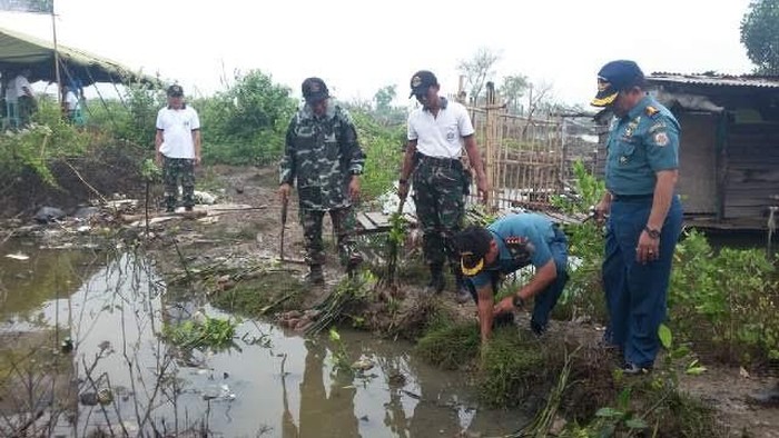 Prajurit Angkatan Laut Tanam Ribuan Mangrove Perangi Abrasi di Pantai Utara