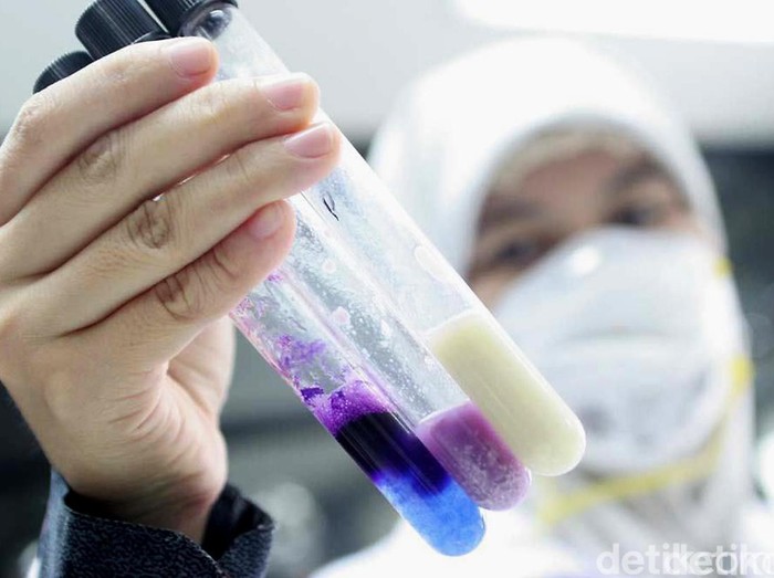 Efek Jangka Panjang Jika Mengonsumsi Formalin dan Boraks Efek Jangka Panjang Jika Mengonsumsi Formalin dan Boraks