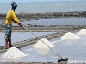 KKP Optimistis RI Swasembada Garam Tahun Depan, Begini Caranya